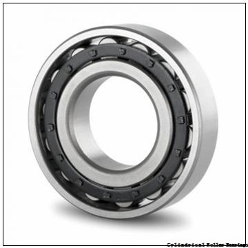 Toyana NF3252 cylindrical roller bearings