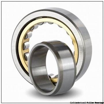 45 mm x 100 mm x 36 mm  FAG NUP2309-E-TVP2 cylindrical roller bearings